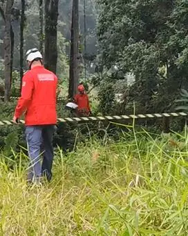 ​Acidente de Aeronave Ultraleve Deixa Duas Vítimas em São Francisco do Sul