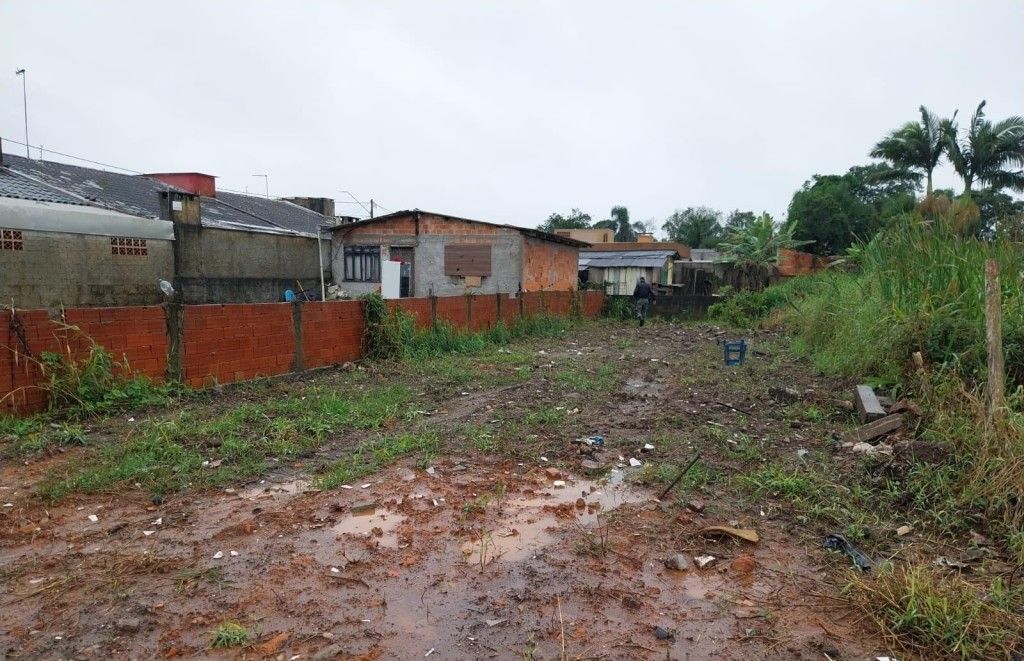 Polícia Ambiental Atende Denúncia de Desmatamento no Bairro Coroados